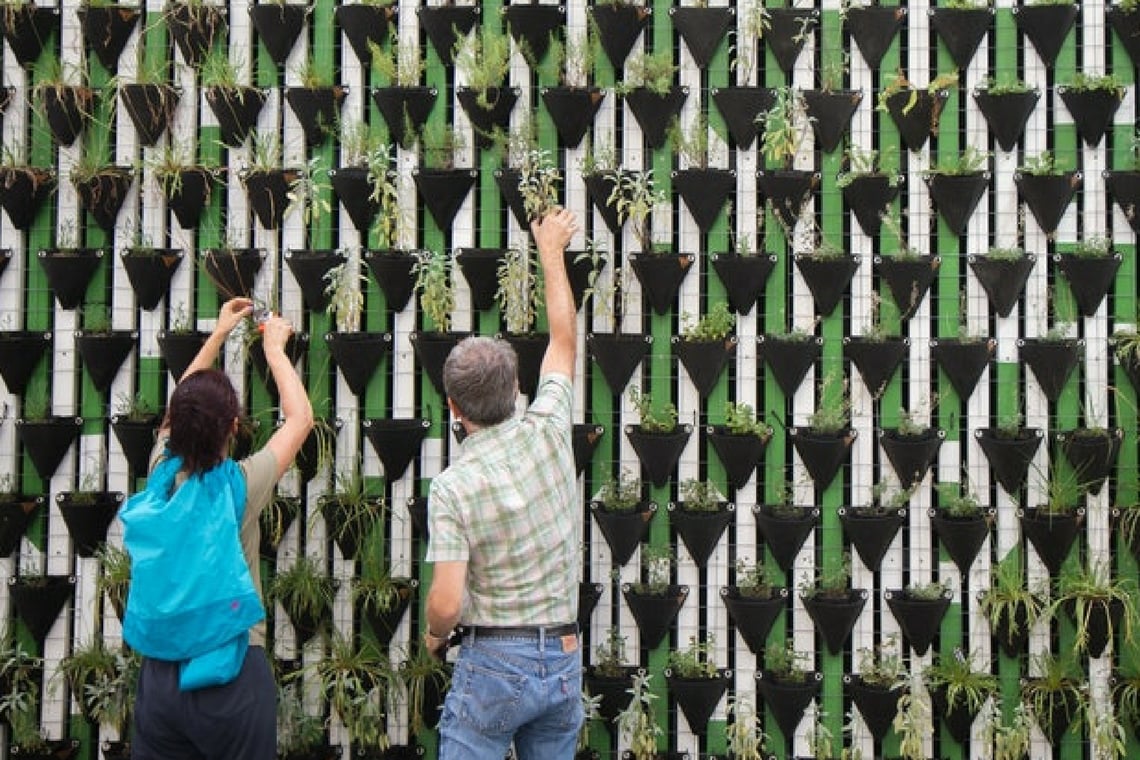 Capa da matéria Apaixonado pelo meio ambiente? Entenda como é possível trabalhar com sustentabilidade no mercado financeiro