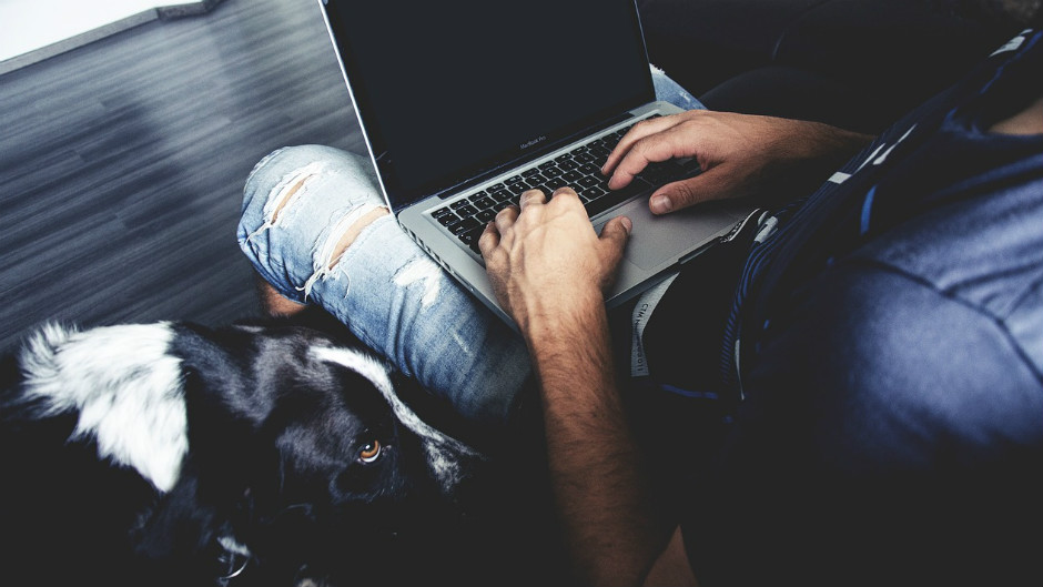 jovem usando notebook com cachorro ao lado