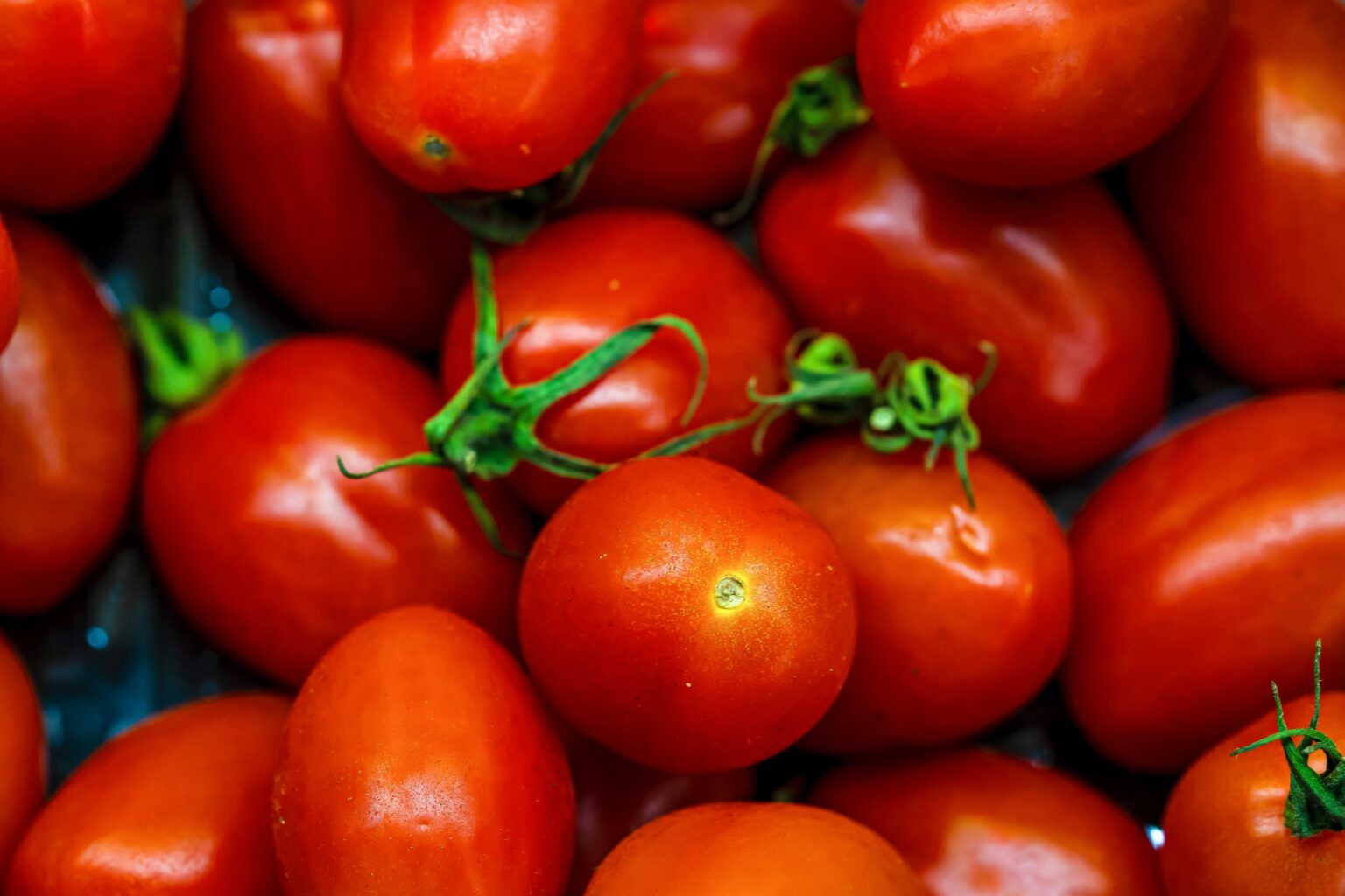 T cnica pomodoro como gerenciar seu tempo na pr tica